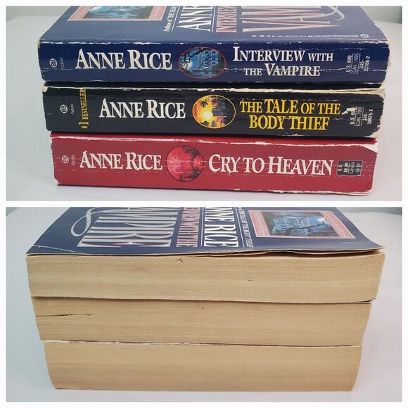 Anne Rice Paperbacks-Lot Of 3 Books: Interview Vampire Body Thief Cry To Heaven - Picture 3 of 16